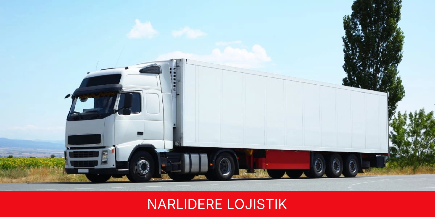 Narlıdere Lojistik