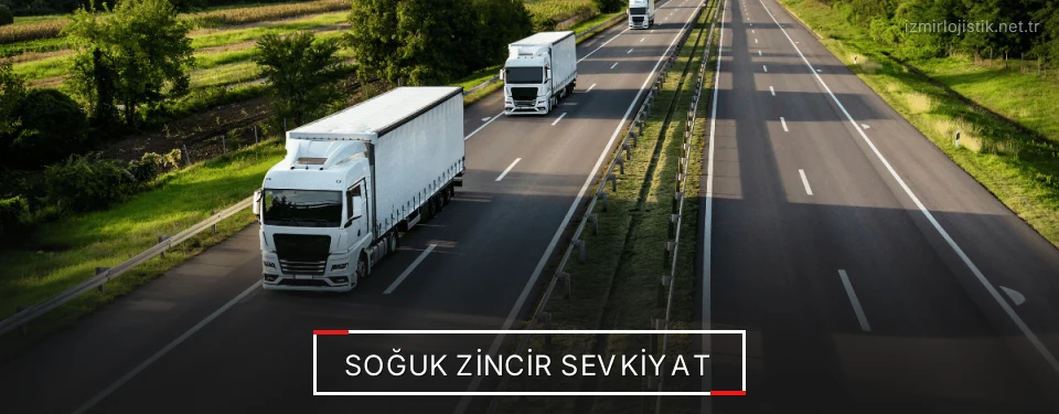 İzmir Frigo Taşımacılık Firmaları